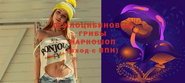 наркотики Инсар