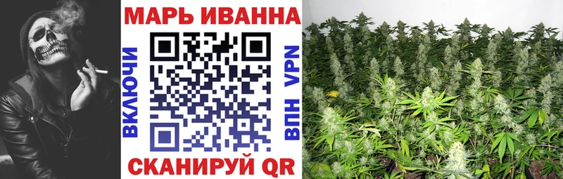 Конопля Amnesia  Купить где  Гремячинск 